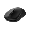 RAPOO M20 Wireless Mouse