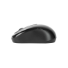 Targus W600 Wireless Mouse