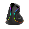 Delux M618Plus RGB Ergonomic Vertical Mouse